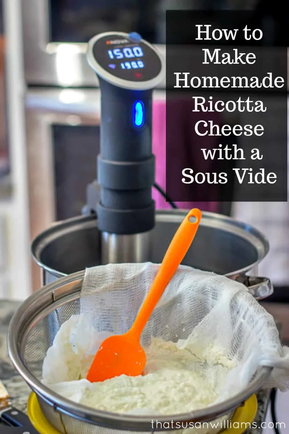 Sous Vide Precision Cooker (Birch White)