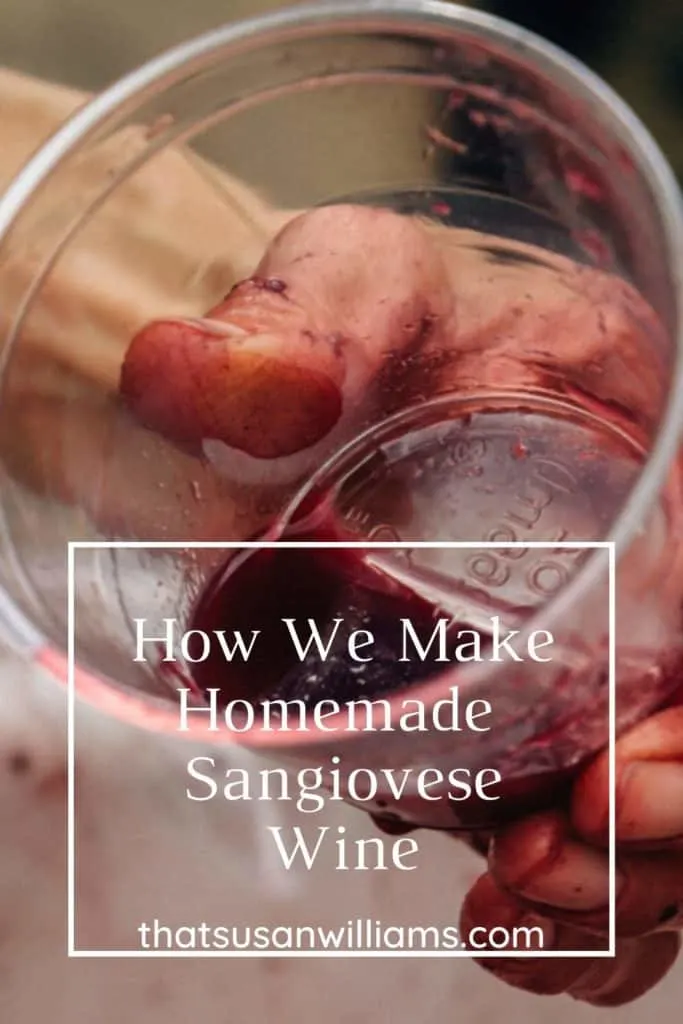 How We Make Homemade Sangiovese Wine Cup