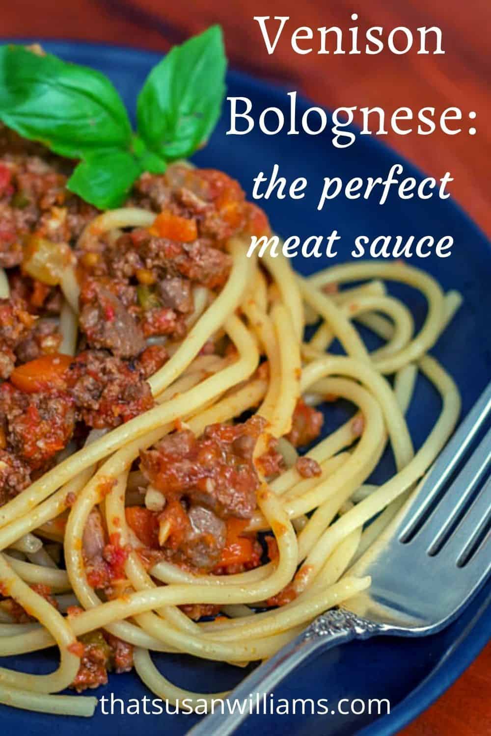 The Best Meat Sauce for Spaghetti Venison Bolognese That Susan Williams