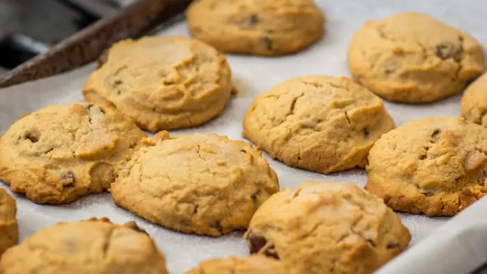 Baked Salty-Sweet Peanut Butter Chocolate Chip Shortbread Cookies.
