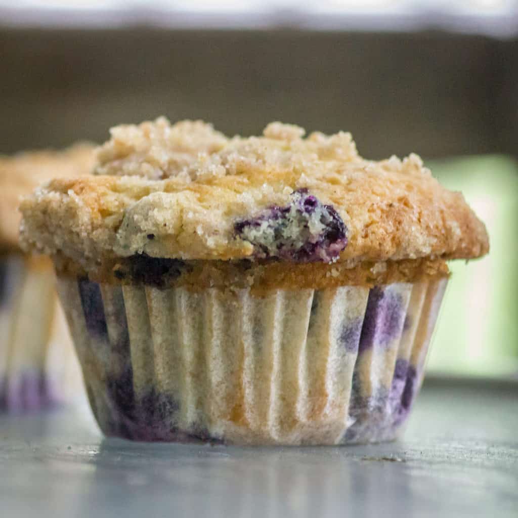 An Instagram worthy blueberry muffin.