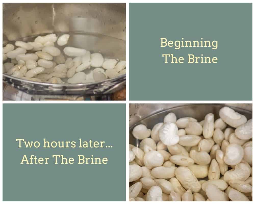 A comparison of 2 pictures: in the first, the beans are smaller at the beginning of the brine. In the second, after spending two hours soaking the brining solution, the beans are larger and swollen looking.