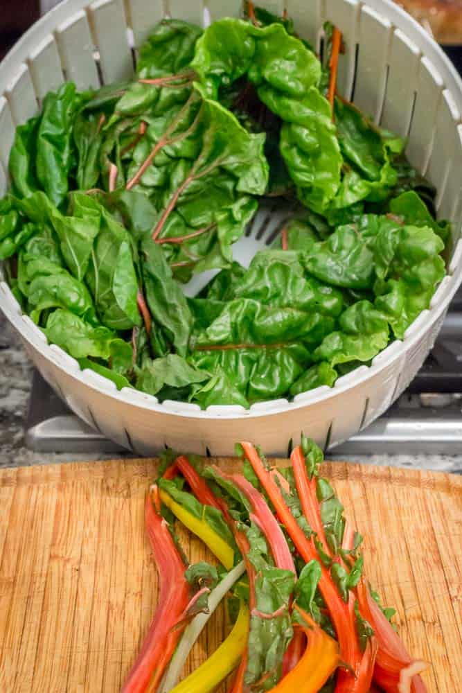 Swiss Chard: the stems, and the leaves, in my salad spinner colander.