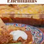Best ever venison enchiladas