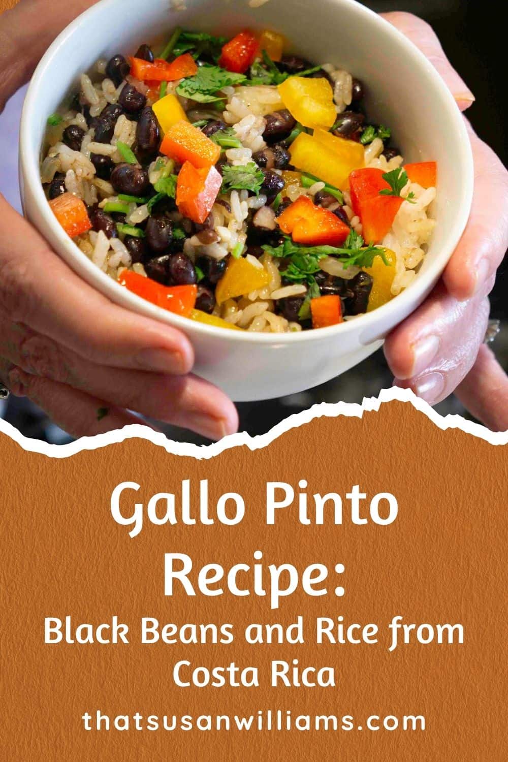 A pin for Gallo Pinto you can pin on Pinterest.